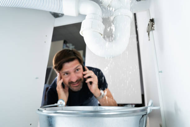 Best Sprinkler Systems  in Pleasant Hills, MD